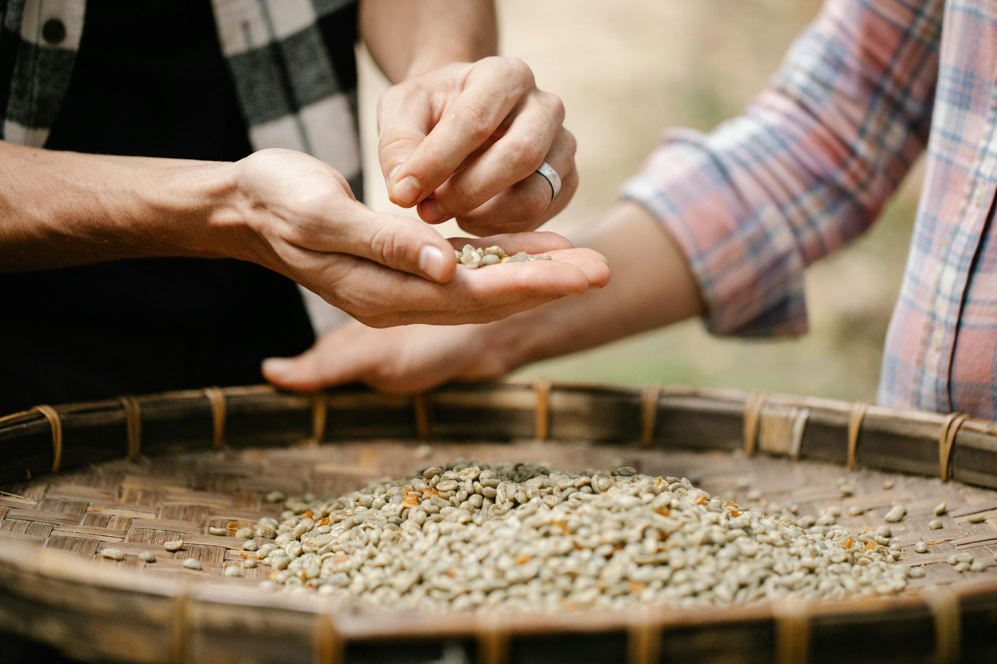 fairtrade koffiebonen